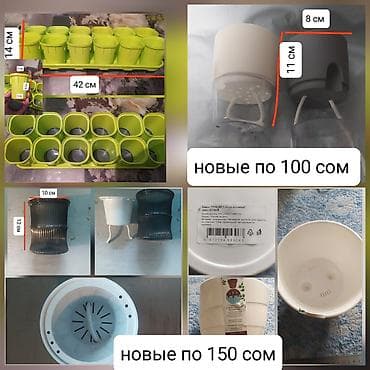 комнатные цветы бишкек гулназ: Продаю новые горшки — 1