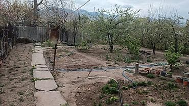 недвижимость квартира: 7 соток, Для сельского хозяйства, Красная книга, Тех паспорт, Договор дарения — 8