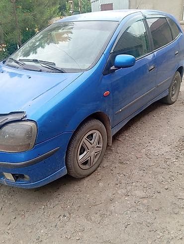 byd dolphin: Nissan Almera Tino: 2001 г., 1.8 л, Механика, Бензин, Минивэн — 3