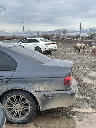 ярис витс: Диски R 16 — 1