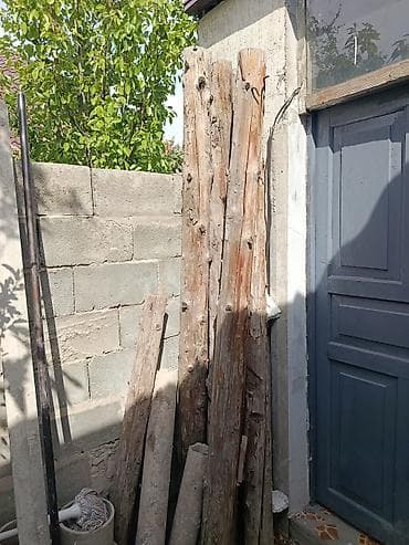 лес: Стундар сатылат — 1