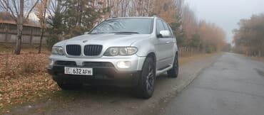 BMW X5: 2003 г., 3 л, Автомат, Дизель, Кроссовер
