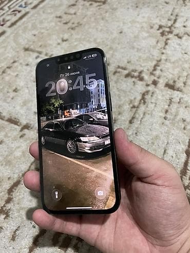 IPhone 13 Pro, Графит