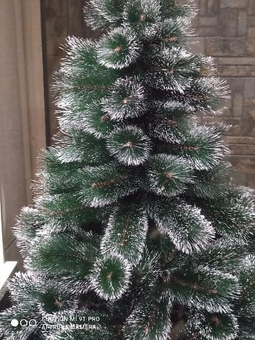 Ёлки: Ёлки с белым на краю иголочек. хорошего качества ёлки фирменные — 2