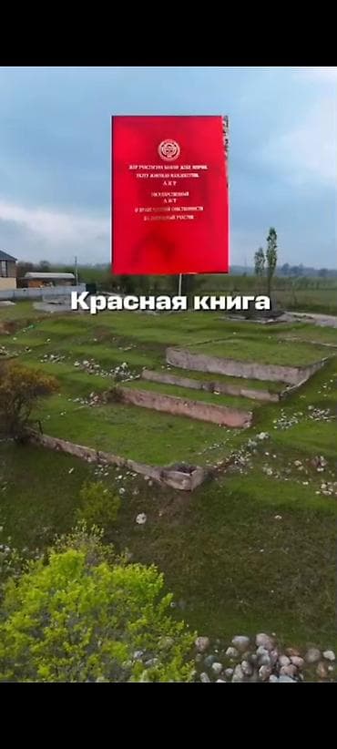 посредник: 4 соток, Красная книга — 4