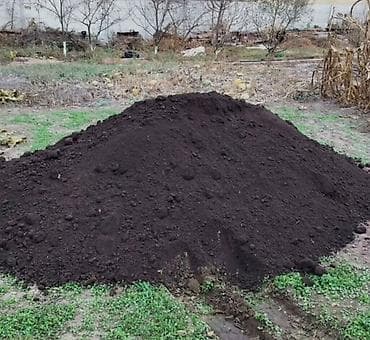 шкатулки бишкек: Тонна менен, Акысыз жеткирүү, Хово — 5