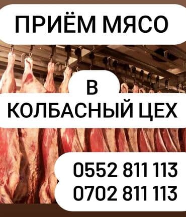 Куплю | Коровы, быки, Лошади, кони | Любое состояние, Забитый, На забой, на мясо