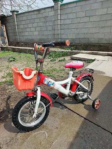 ск пионер: Детский велосипед «Ну, погоди!», для первых поездок - Размер колес — 1