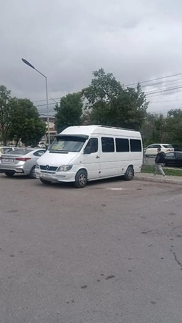 tmm group: Бус заказ — 3