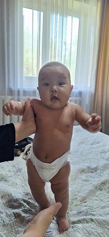 Животные: Продаю | Жеребец | Английская | Конный спорт | Племенные — 9