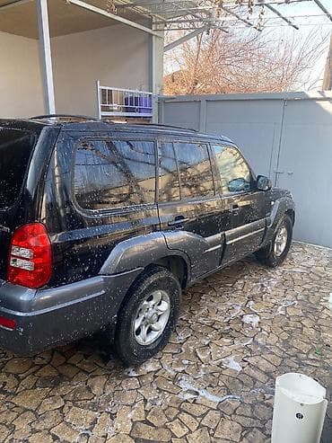 santa fe: Hyundai Terracan: 2004 г., Автомат, Дизель, Внедорожник — 4