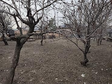 premium development: 10 соток, Для строительства, Красная книга — 2