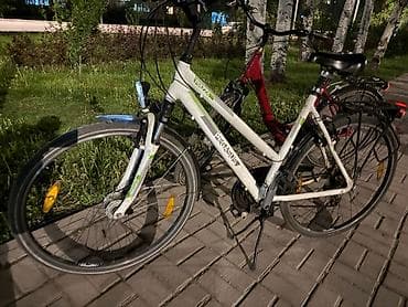 forward apache: Пегасус чистокровный немец. шикарный вариант для городских прогулок — 1