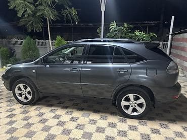Lexus RX: 2004 г., 3.3 л, Автомат, Газ, Кроссовер — 8