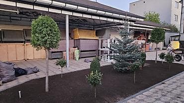 вечный спичка: Газонные семена и почвосмеси для газона - Марки: Green Field — 10