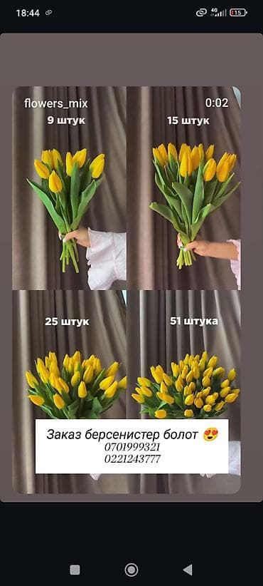 Тюльпан: Тюльпаны из теплицы и комнатные цикламены — выращивание и продажа — 3