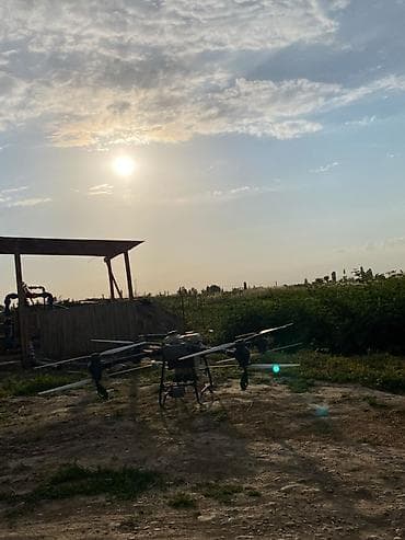 красовка жен: Агродрон Кызматтары / Услуги Агродрона Талааларды агродрон менен — 2