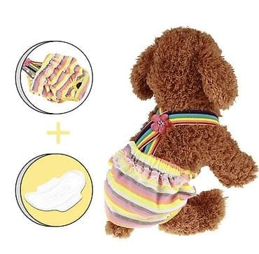 шиншил: Гигиенические трусики на подтяжках. Для собак девочек во время — 3