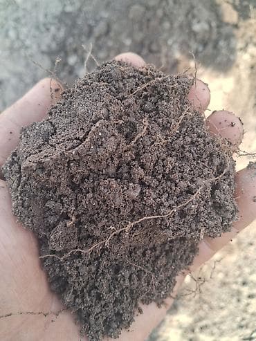 стро: Заказать Хендай портер, Доставка щебня, угля, песка, чернозема, отсев — 2