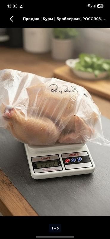 лук репчатый 1 кг цена: Үй тооктору сатылат! 🐔 Алдын ала чалып заказ менен. ​Биз табигый — 2