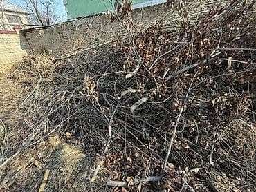 Декор и интерьер: Дрова — 1