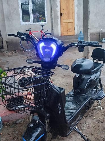 електроный муравей: Электроскутер Panda (электровелосипед-скутер) Особенности и — 3