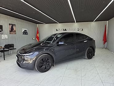 динамик камри 30: Tesla Model Y: 2025 г., 3 л, Автомат, Электромобиль, Кроссовер — 9