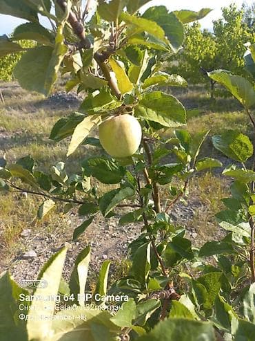 строим дом: 15 соток, Для бизнеса, Красная книга — 10