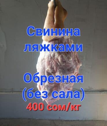 машинка для животных: Чочконун эти : 10 кг ашык, Акысыз жеткирүү — 1