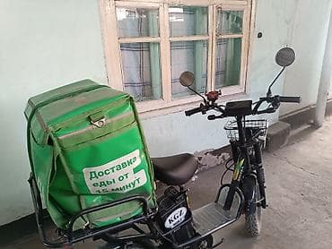 zimmer e9 pro: Электровелосипед — 3