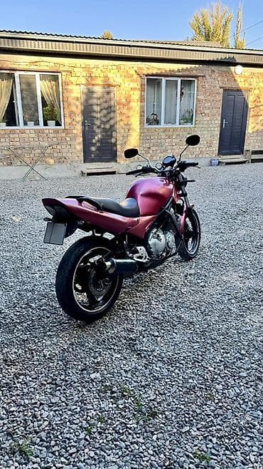 прямоток мото: Классический мотоцикл Yamaha, 600 куб. см, Бензин, Взрослый, Б/у — 2