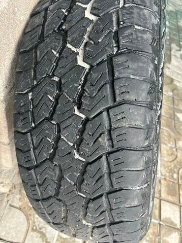 шины в оше: Шины 235 / 60 / R 16, Всесезонная, Б/у, Внедорожные (АТ/МТ), Bridgestone — 1