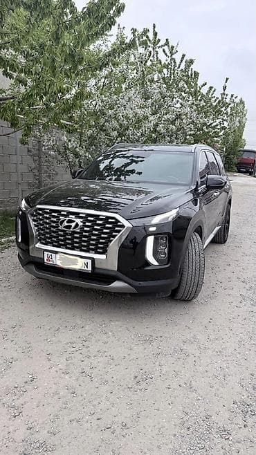 аудио усилитель: Hyundai Palisade: 2020 г., Бензин — 1