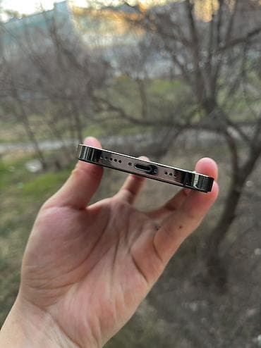 honor 30i: IPhone 12 Pro, Новый, 128 ГБ, Графит, Чехол, 74 % — 2