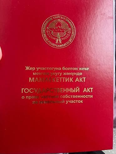 чуйский: 10 соток, Красная книга — 1