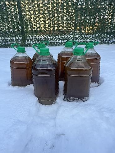 фрютерное масло: Хлопковое масло 100% натуральный продукт, холодный отжим — 4