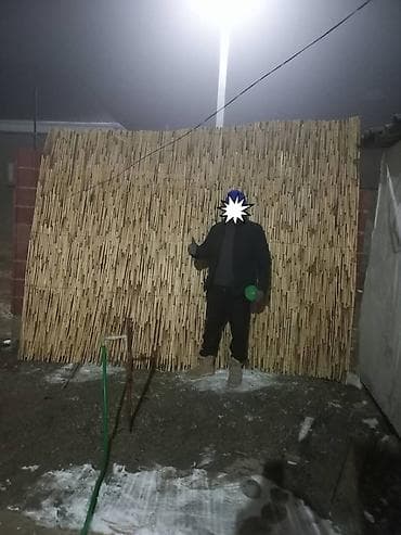 кошка домашний: Другие животные — 4