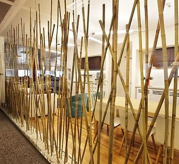 цвет: 1)Бамбуковые стебли (тростники) для декора и садовых работ. От 100с/м — 10