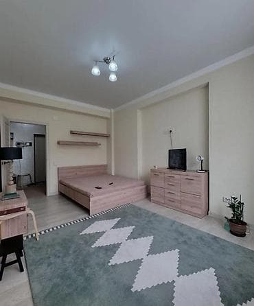 1 комната, Риэлтор, Без подселения, С мебелью полностью