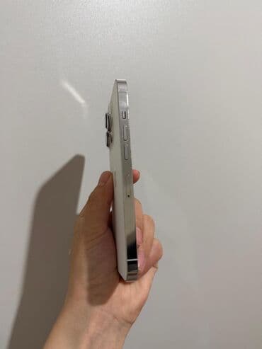 aphone 12: IPhone 13 Pro, Б/у, 256 ГБ, White Titanium, Чехол, Коробка, 72 % — 5
