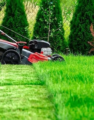 Газонокосилки: Газонокосилка, Новый, Бензин, D-MAX, 4-х тактный двигатель, Самовывоз, Бесплатная доставка, Платная доставка — 3