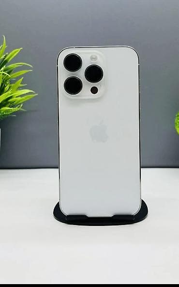 IPhone 13 Pro, Серебристый, Чехол
