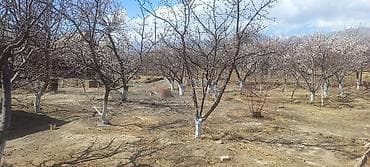ул пушкина: 9 соток — 3