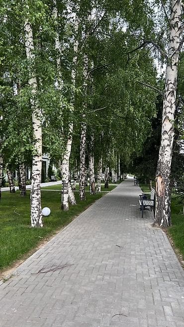 Кыймылсыз мүлк: Современный одноэтажный дом с собственной территорией и патио — 10
