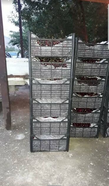 старый буфет: Пластиковый Ящик — 27