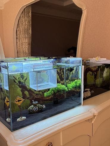 Аквариумы: Продам два аквариума в идеальном состоянии! 🐠 Продаю в связи с — 5