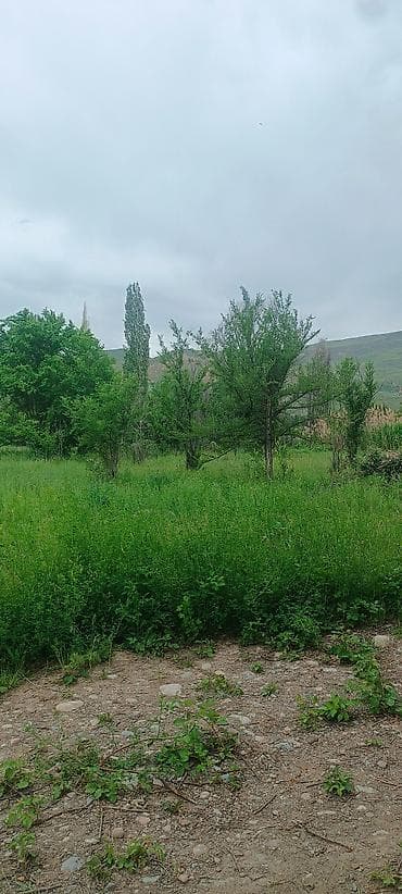 требуется диджей в кафе: 5 соток, Для строительства, Красная книга — 1