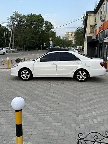 camry 2007: Toyota Camry: 2006 г., 2.4 л, Автомат, Бензин, Седан — 3