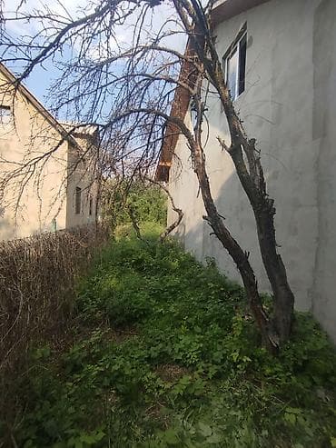 банный катёл: Продаю готовую дачу в с. Кой-Таш ДТ.Ала-Тоо, на против дома — 5