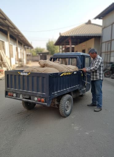 скутер трицикл бензиновый с кабиной цена: Легкий грузовик, Стандарт — 1